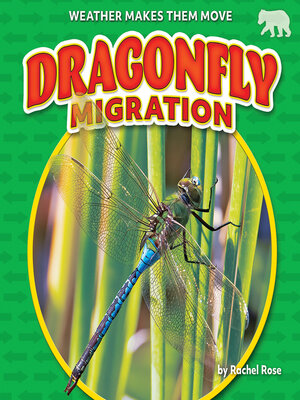 cover image of Dragonfly Migration